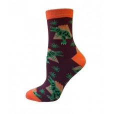 Teenager's socks Dino (1125)